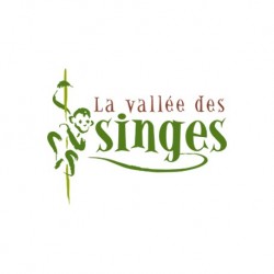 VALLEE DES SINGES