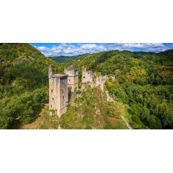 LES TOURS DE MERLE