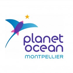 PLANET OCEAN (34)