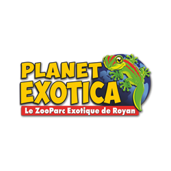 PLANET EXOTICA (17)