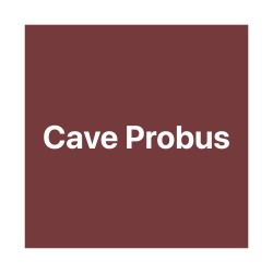 CAVE PROBUS