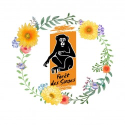 LA FORET DES SINGES