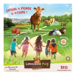 LIMOUSINE PARK - 87