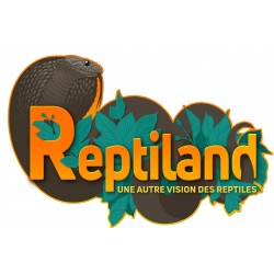 REPTILAND