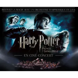 HARRY POTTER ET LE PRINCE DE SANG-MELE